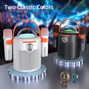 Woegel karaoke set A5 – Draadloze Bluetooth Party Speaker  –  2 microfoons – zwart