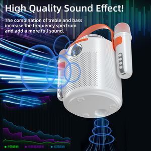 Woegel karaoke set A5 – Draadloze Bluetooth Party Speaker  –  2 microfoons – zwart