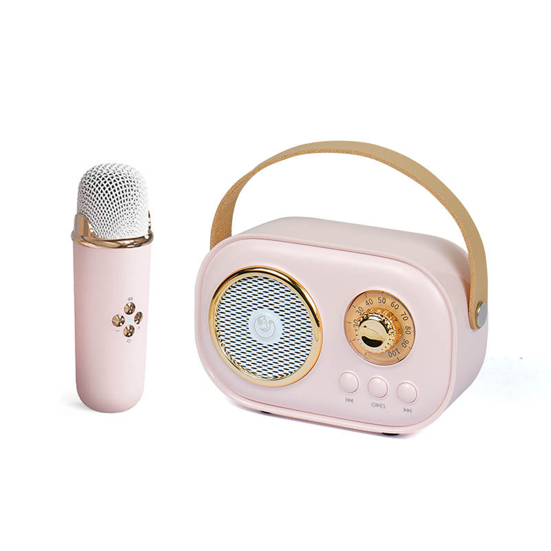 Woegel karaoke set A6 – met bluetooth en TF-kaart – retro roze