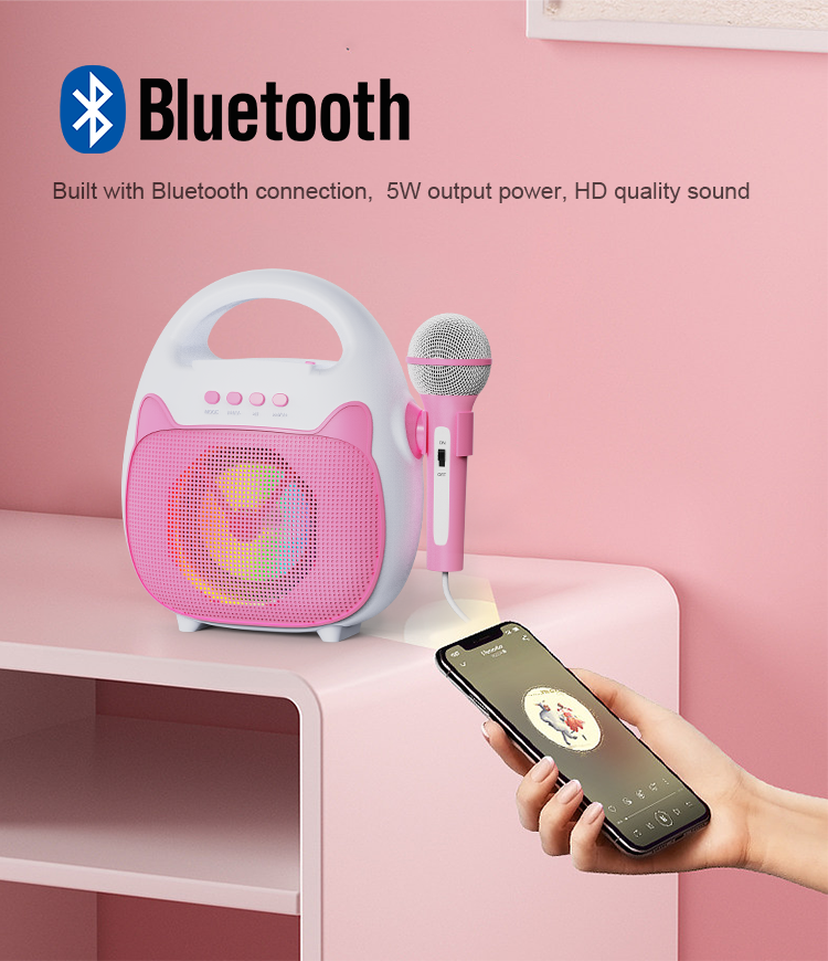 Woegel karaoke set A2 – met bluetooth, usb en TF-kaart