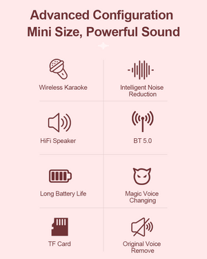 Woegel karaoke set A3 – met bluetooth, TF-kaart en stemvervormer