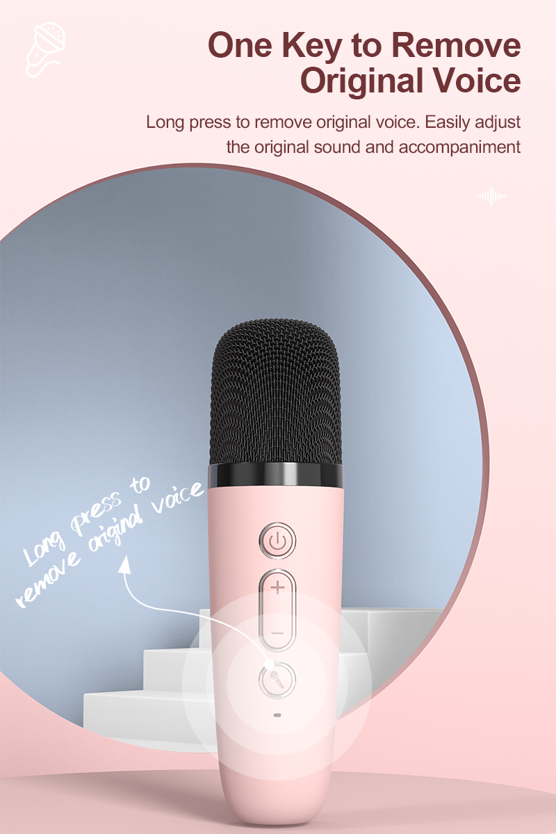 Woegel karaoke set A3 – met bluetooth, TF-kaart en stemvervormer