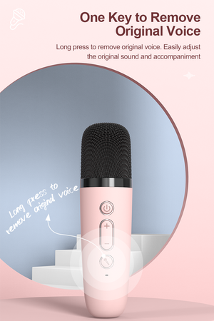 Woegel karaoke set A3 – met bluetooth, TF-kaart en stemvervormer