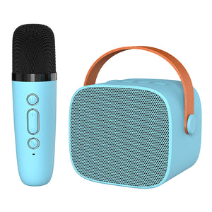 Woegel karaoke set A3 – met bluetooth, TF-kaart en stemvervormer