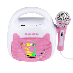 Woegel karaoke set A2 – met bluetooth, usb en TF-kaart