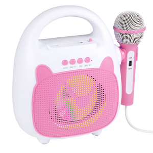 Woegel karaoke set A2 – met bluetooth, usb en TF-kaart